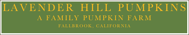 Lavender Hill Pumpkins 
A family Pumpkin FARM
Fallbrook, California

